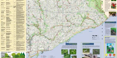 Kort af parks og ganga slóðir Austur Toronto